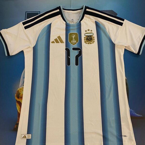Camiseta de la seleccion argentina 26 versión jugador 17 simeone talle M