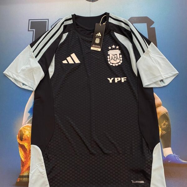 Remera de entrenamiento de la  seleccion argentina  talle S