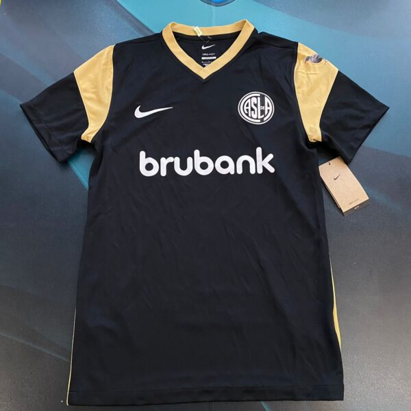 Camiseta alternativa de San Lorenzo 2023 10 Barrios talle S