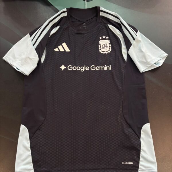 Remera de entrenamiento de la selección Argentina  2026 talle L