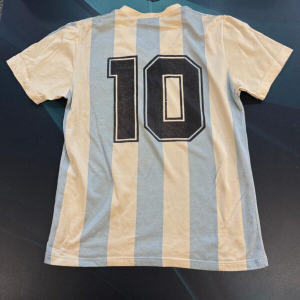 Camiseta de la selección Argentina  1991 10 nro pintura talle 4