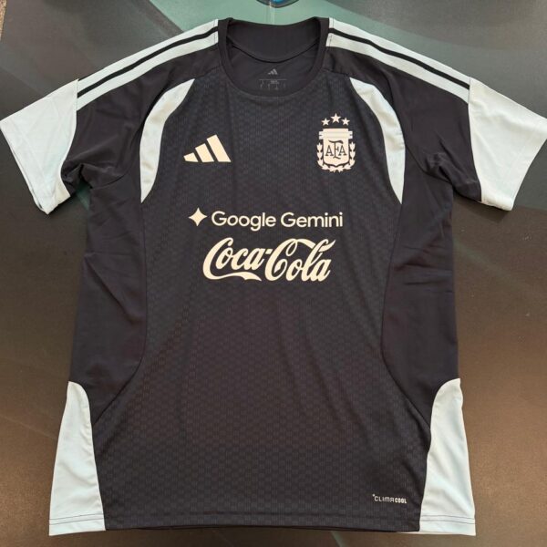 Remera de entrenamiento de la selección Argentina talle L