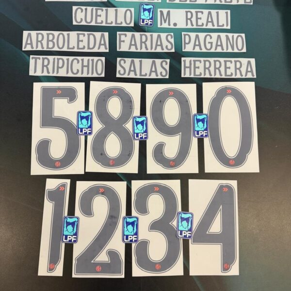 Números y nombres San Lorenzo 2026 4ta equipación ( precio por unidad)